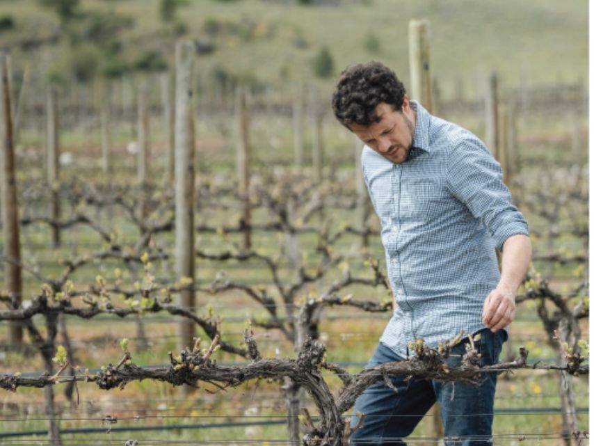 Reserve_Cabernet_Franc_2021_WBSS24_1